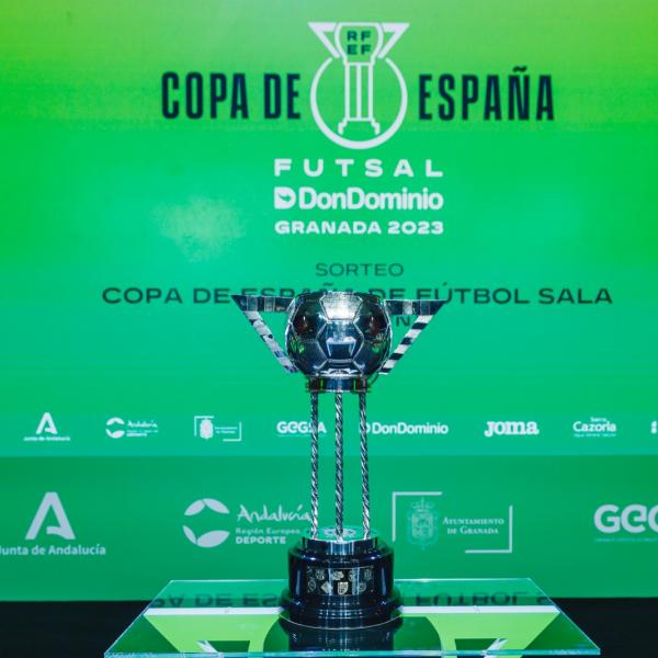 NOTICIA| BARA - VIA ALBALI VALDEPEAS EN CUARTOS DE LA COPA DE ESPAA